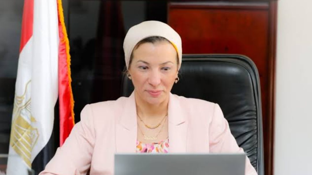 وزارة البيئة تعلن ظهور القرش الحوتي في منطقة اللاجونا بدهب، وتؤكد أنه غير خطر على الإنسان