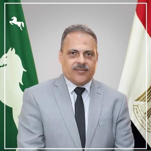 محافظ الشرقية
