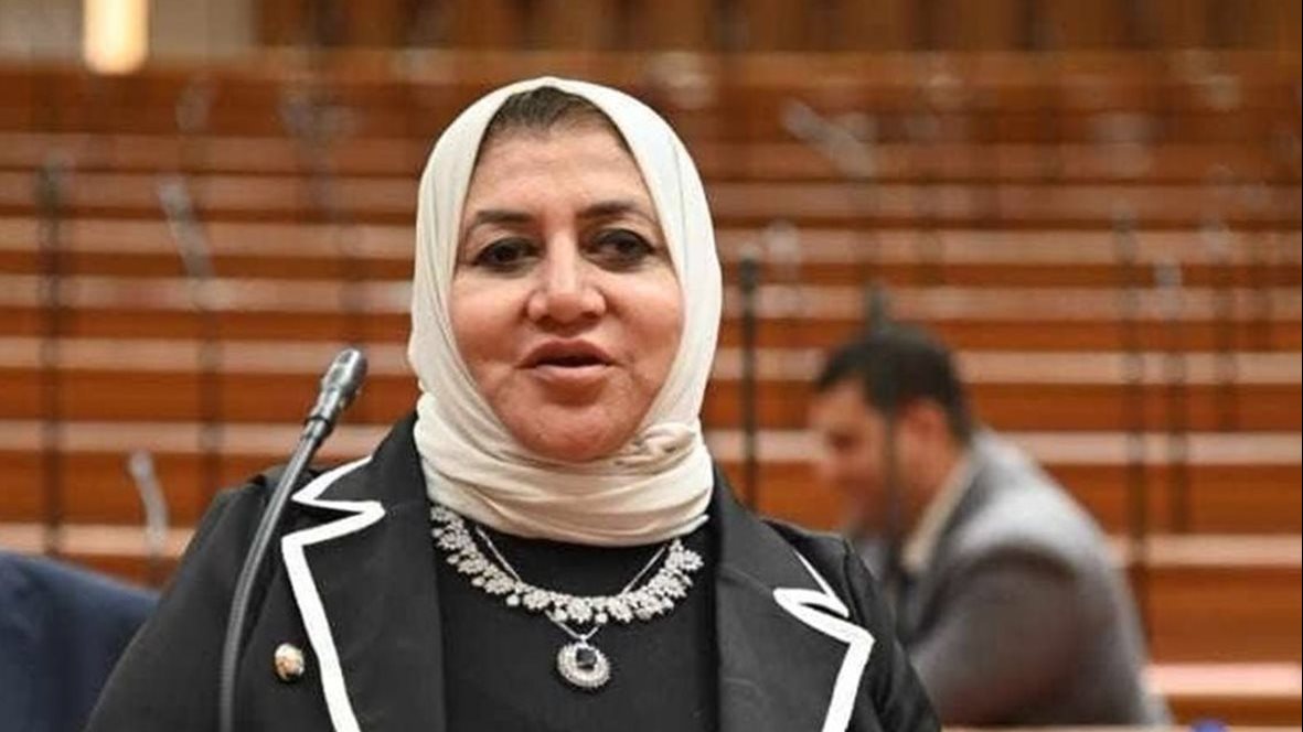 النائبة حنان عبده عمار