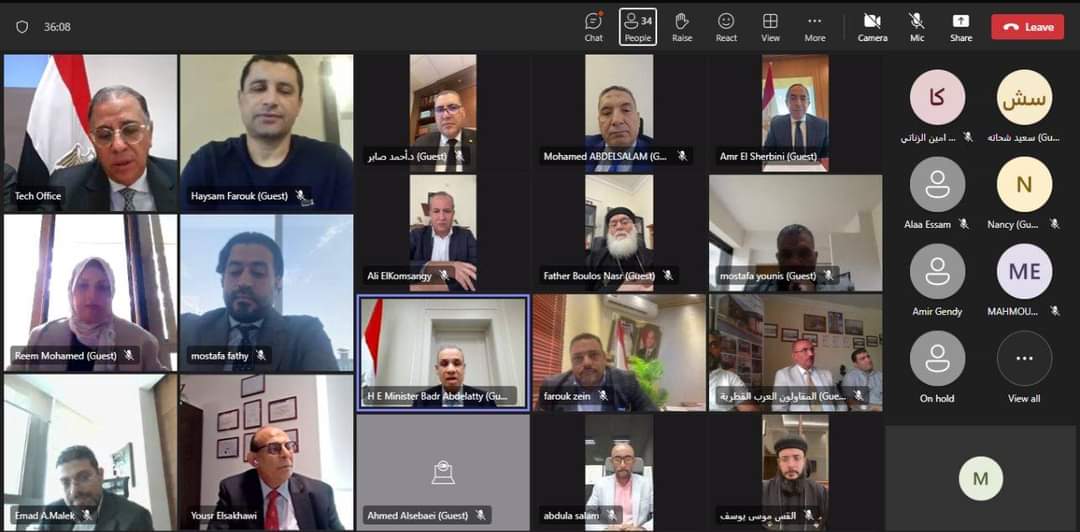 جانب من اللقاء الافتراضي