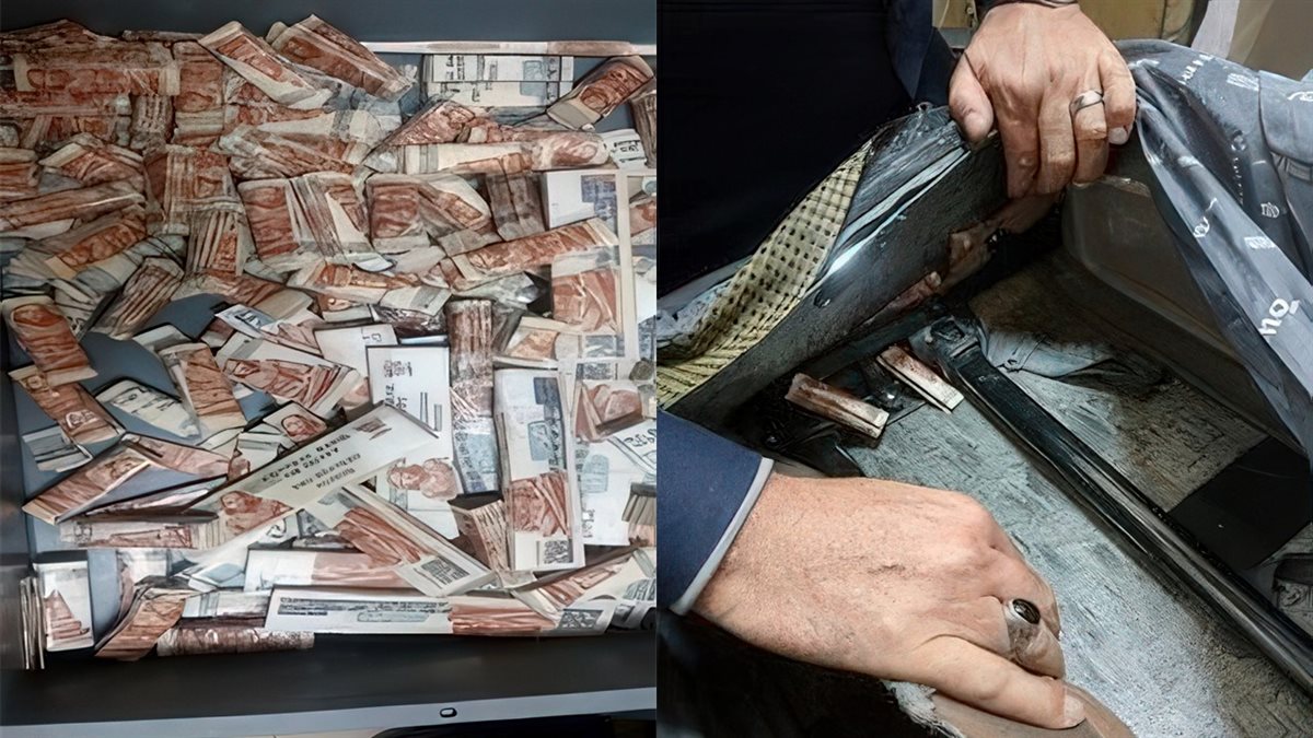المضبوطات