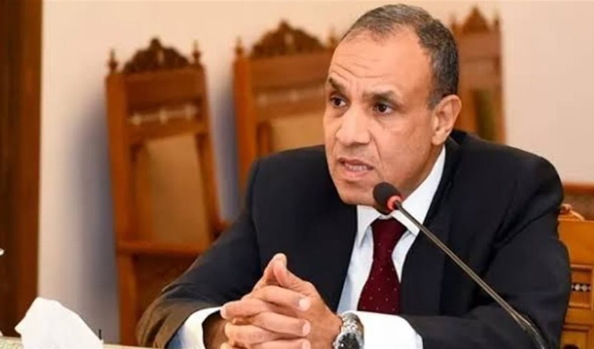الدكتور بدر عبدالعاطي وزير الخارجية