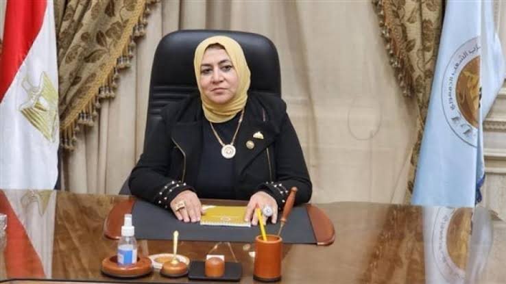 النائبة حنان عمار