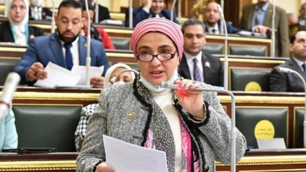 النائبة سميرة الجزار