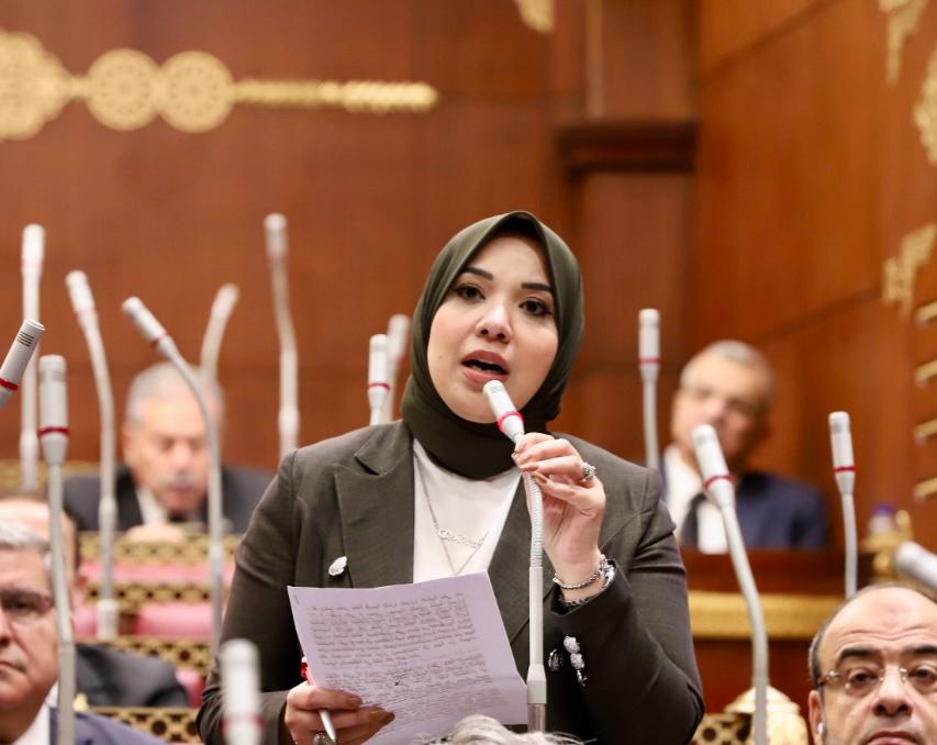 النائبة دينا هلالي