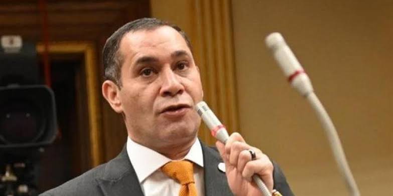 النائب أحمد عاشور