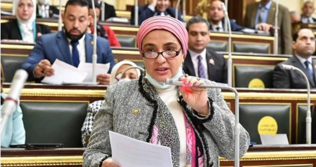 النائبة سميرة الجزار