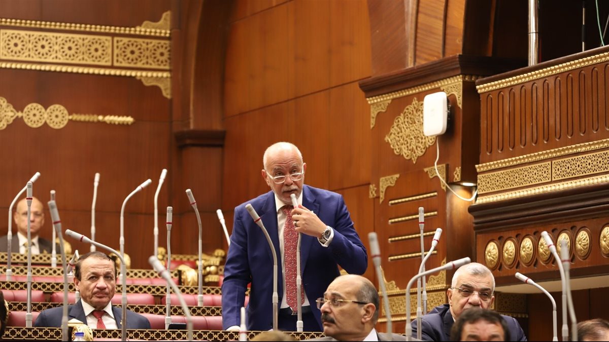 النائب حازم الجندي