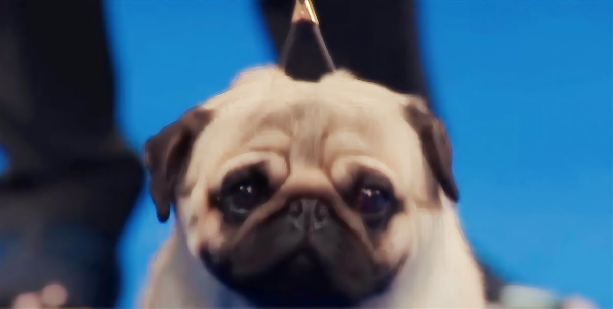 Vito