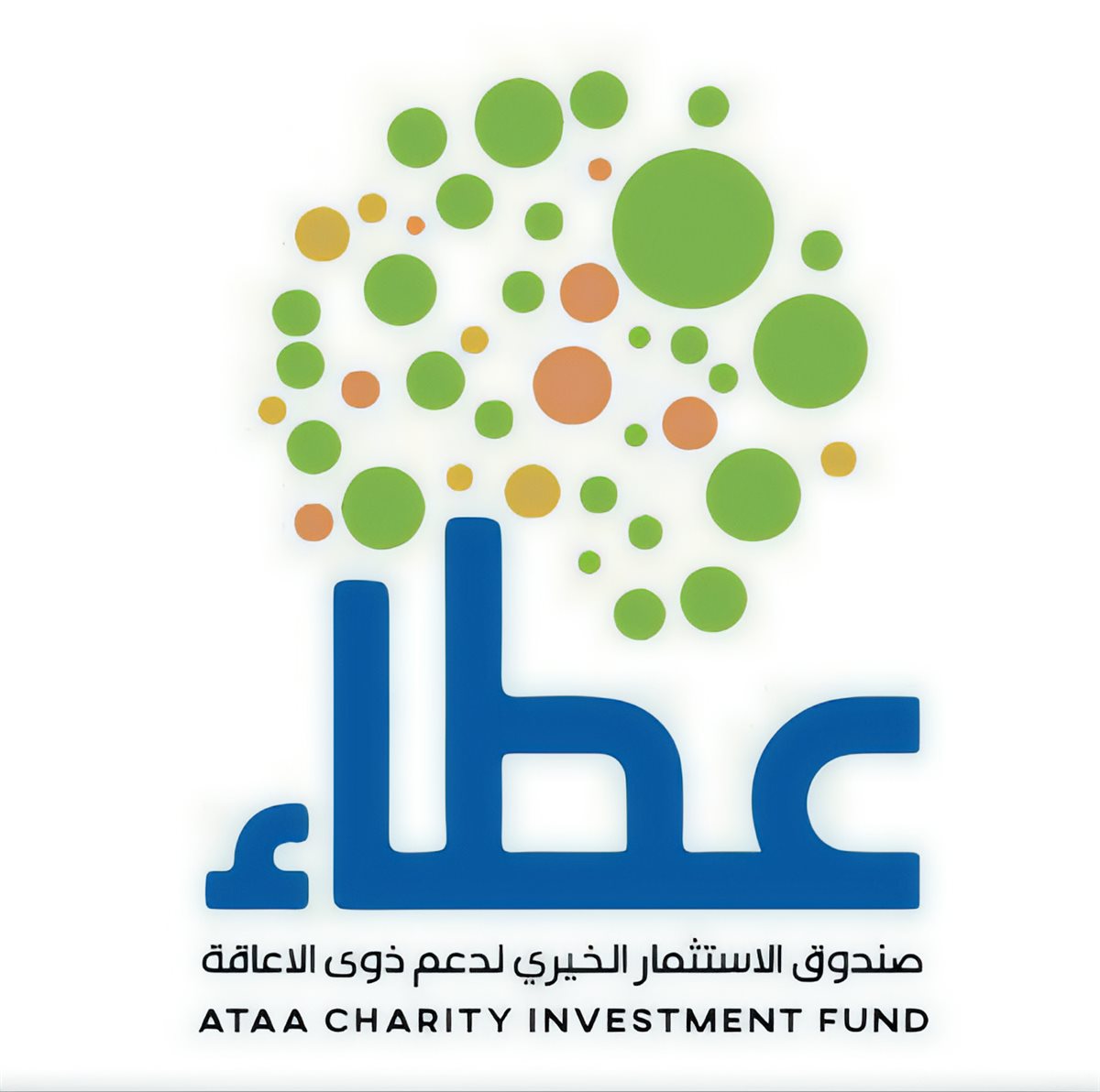 صندوق الاستثمار الخيري لدعم ذوي الإعاقة