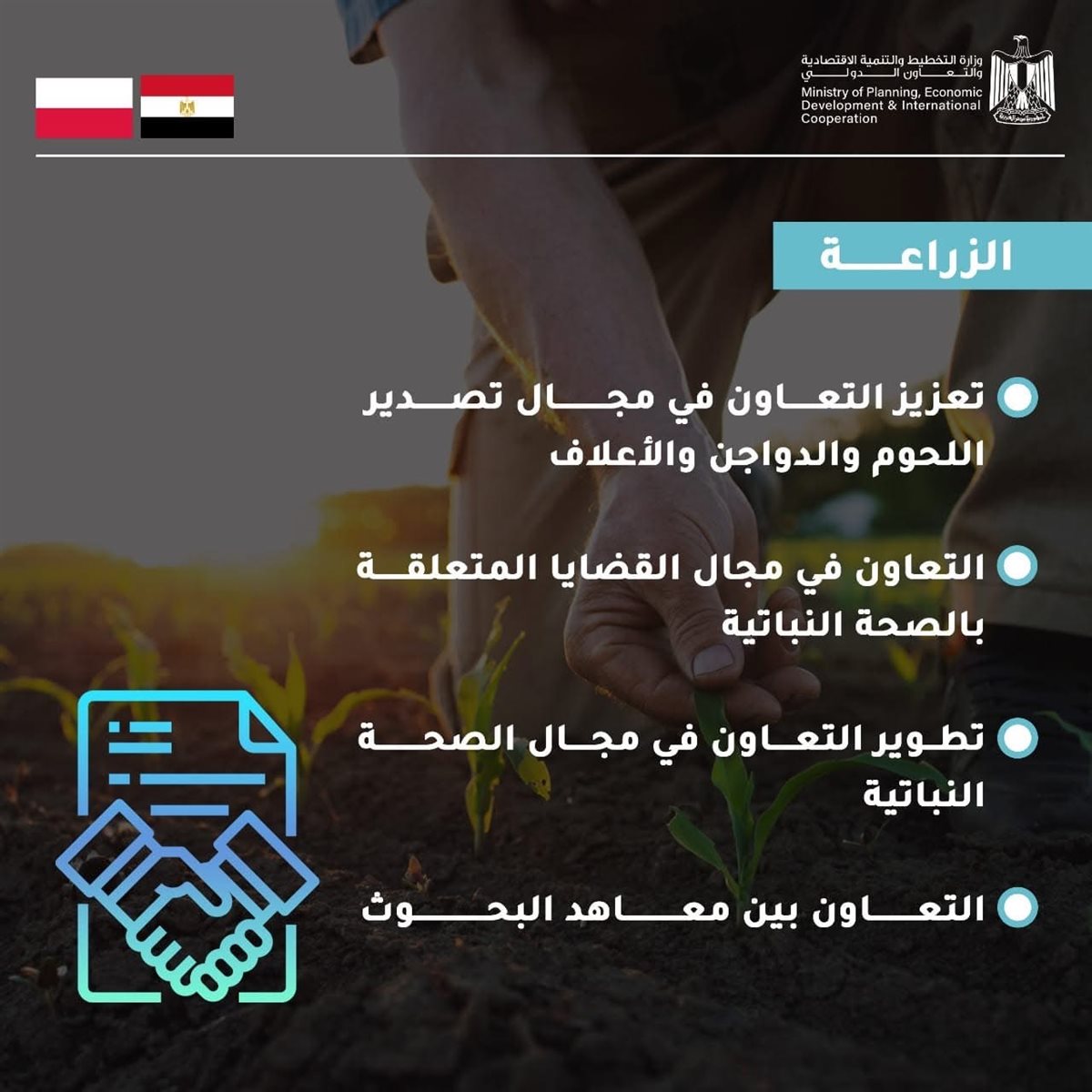 جانب من البروتوكول