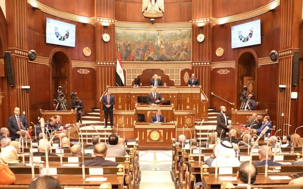 جانب من الجلسة العامة بمجلس الشيوخ