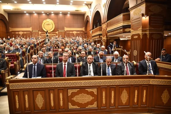 جانب من الجلسة العامة بمجلس الشيوخ