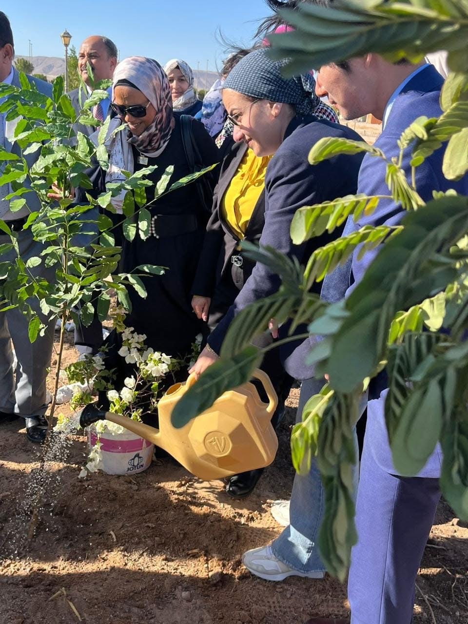 مشروع "الغردقة خضراء"
