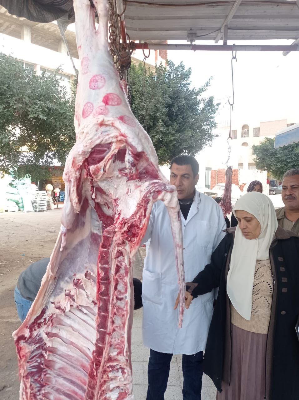 ضبط لحوم وأسماك مجهولة المصدر