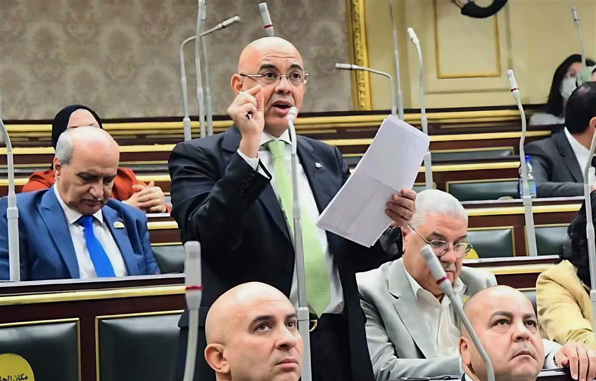 النائب عمرو هندي