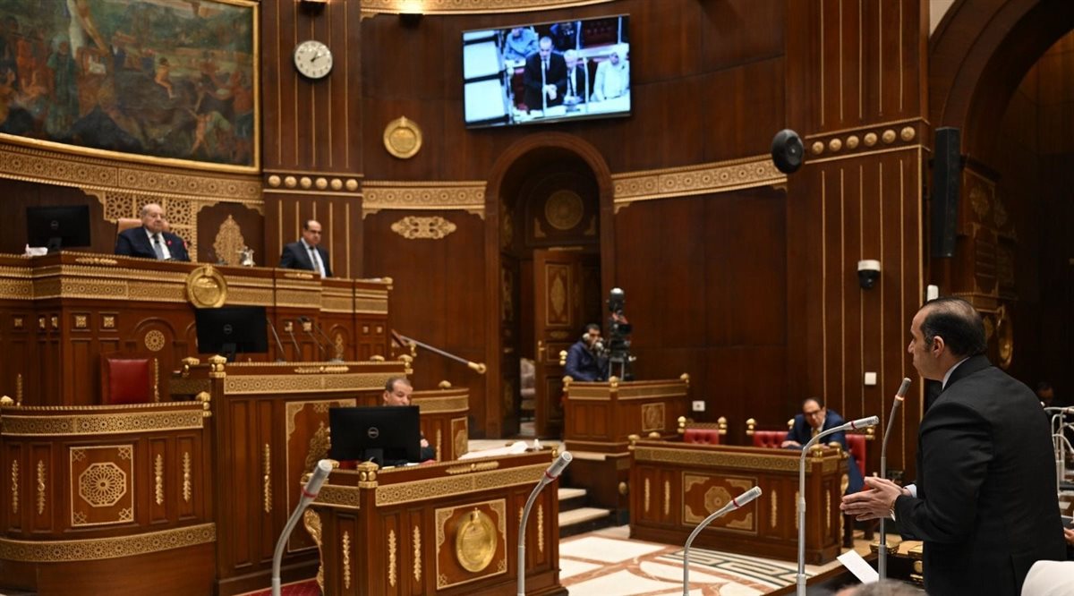 مجلس الشيوخ