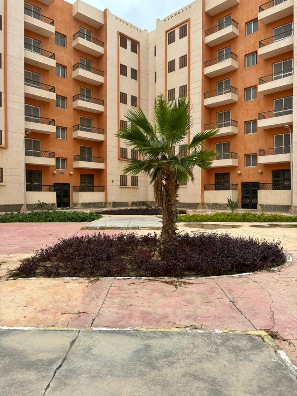 مشروعات تنموية كبرى في برج العرب الجديدة