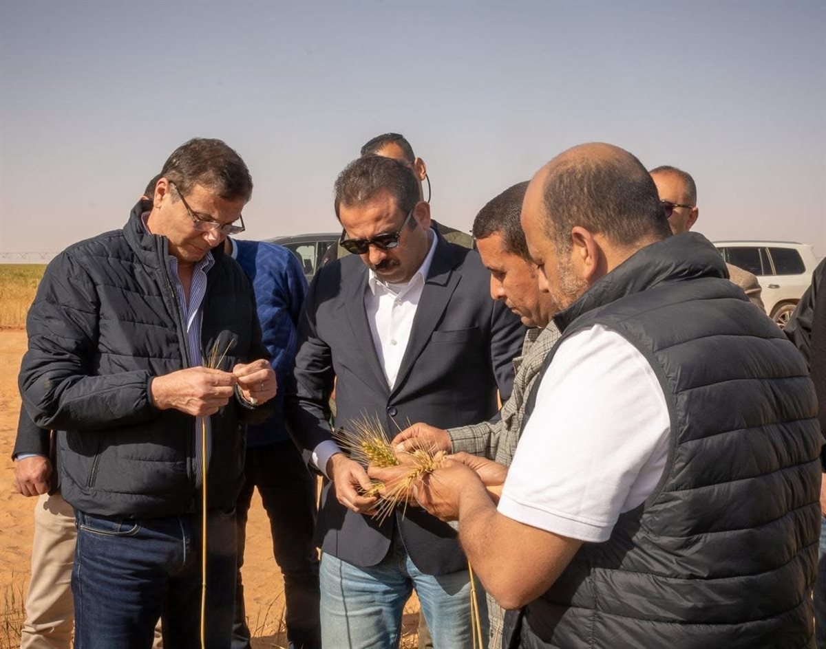 تعزيز الإنتاج الزراعي بشرق العوينات