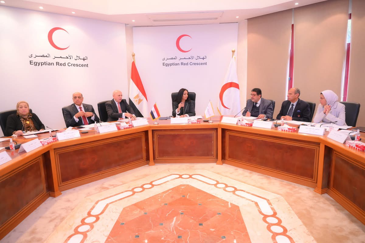 جهود مصرية مستمرة لدعم السودان والأشقاء الفلسطينيين