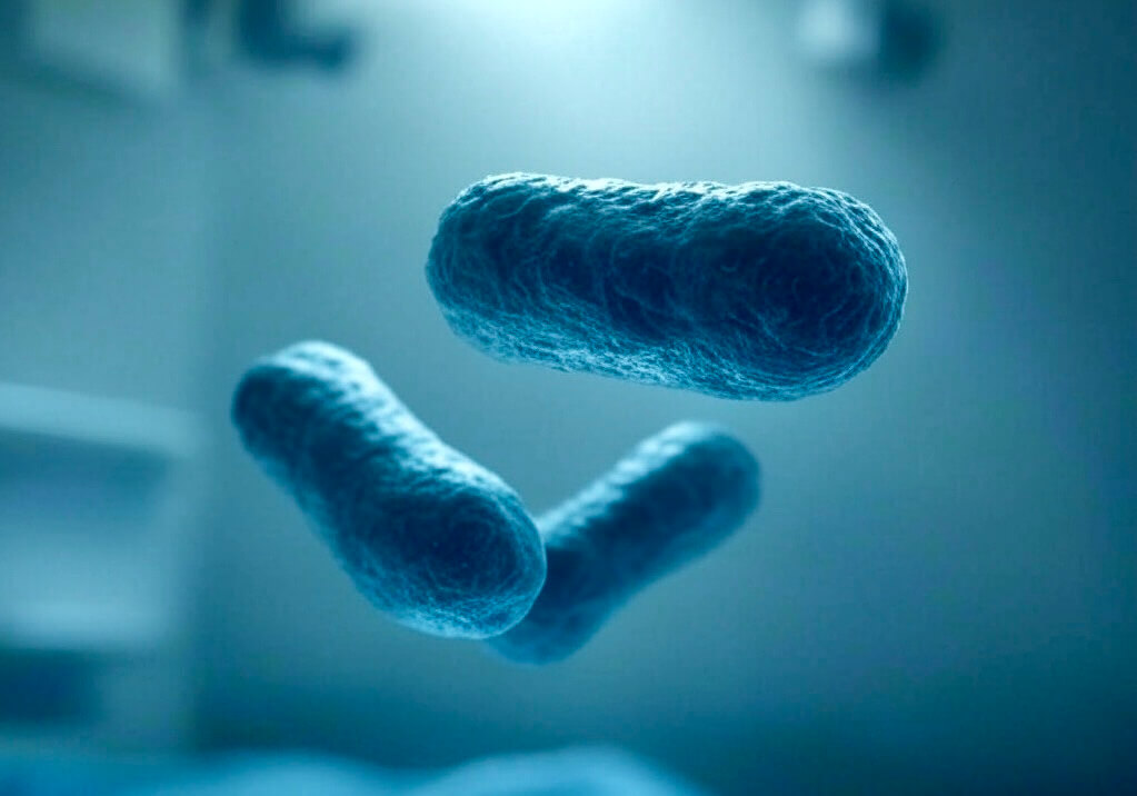 بكتيريا MRSA المقاومة للعلاج Illustration