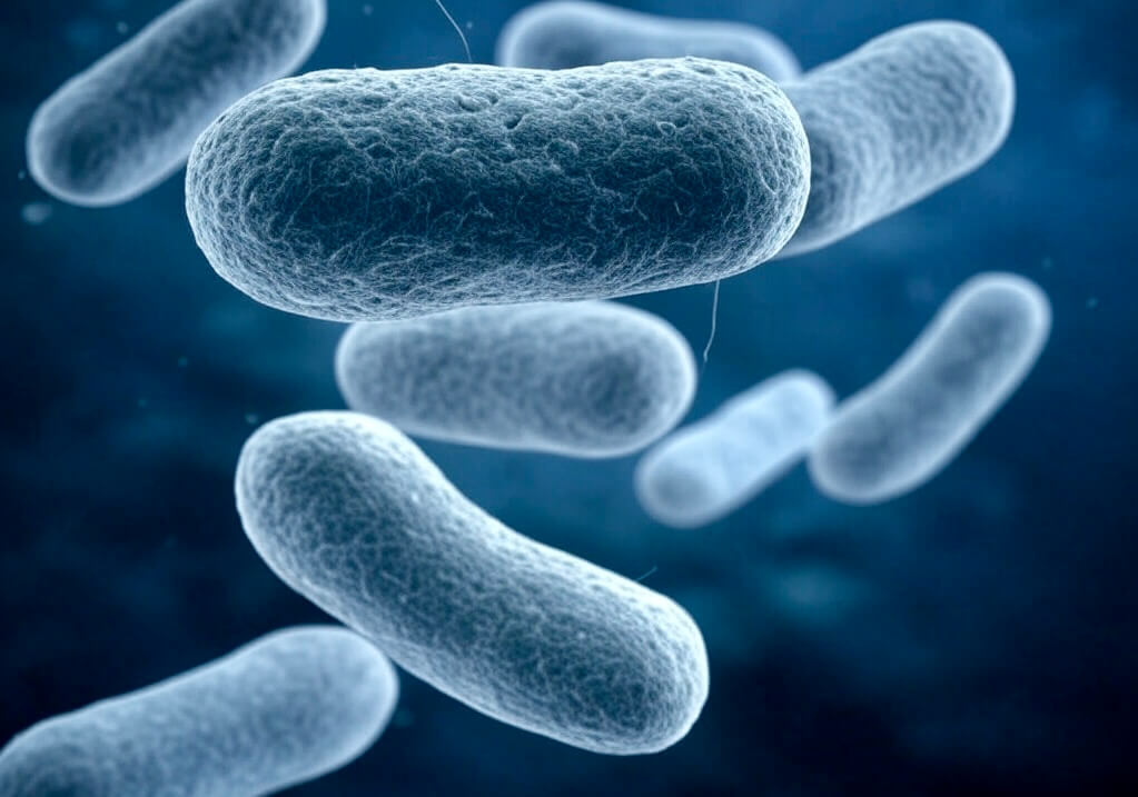 تتسبب MRSA في أزمات صحية ومعدلات وفاة مرتفعة