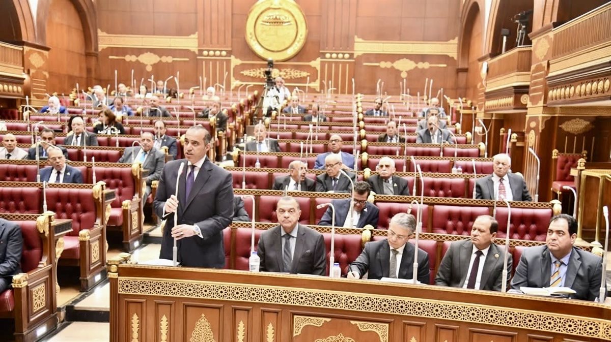 جلسة مجلس الشيوخ لمناقشة منظومة الإفراج الجمركي