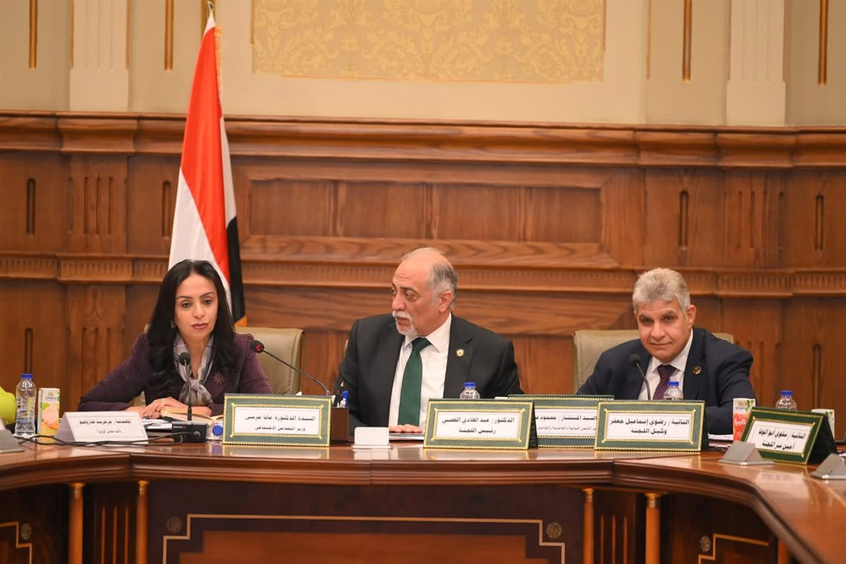 المصدر: الصفحة الرسمية لرئاسة مجلس الوزراء المصري فيسبوك