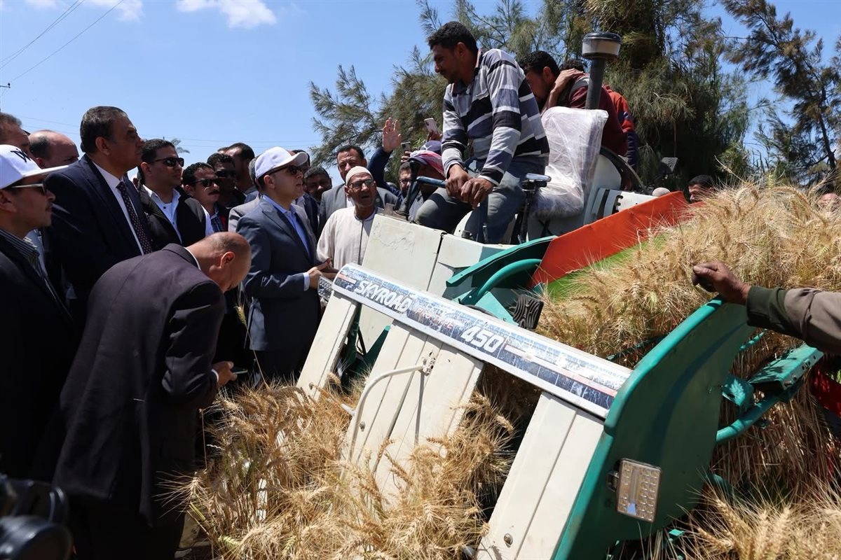 المصدر: الصفحة الرسمية لمحافظة كفر الشيخ فيسبوك