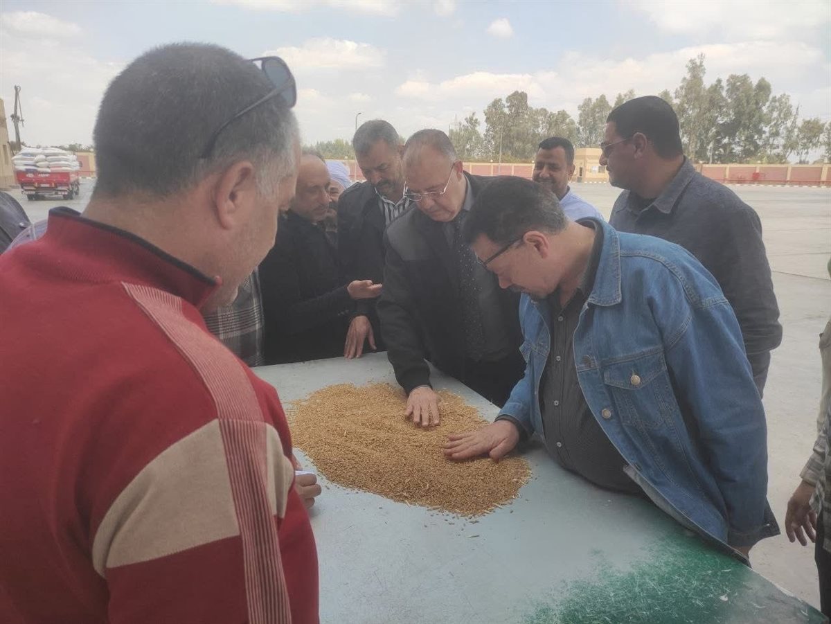 المصدر: الصفحة الرسمية لمحافظة الشرقية فيسبوك