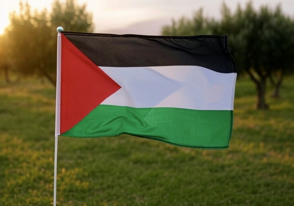 صورة علم فلسطين ٨