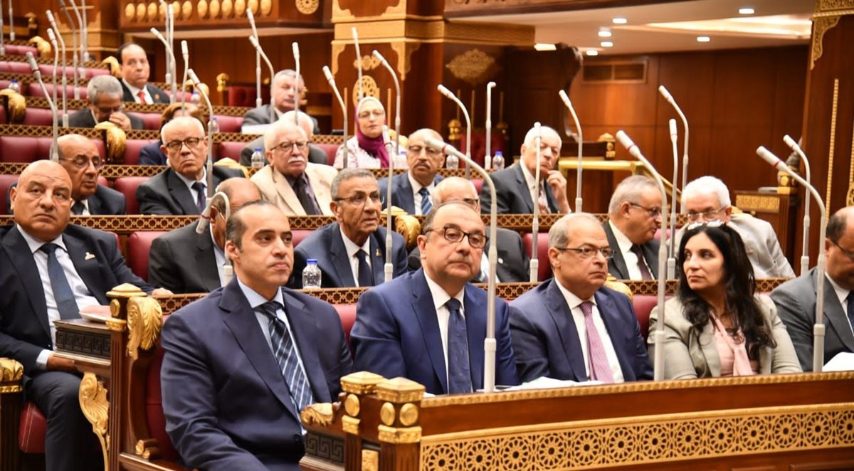 مجلس الشيوخ يناقش طلبات عامة حول إعادة هيكلة شركات قطاع الأعمال، وتحسين إدارة الأصول، وتوطين التكنولوجيا الصناعية