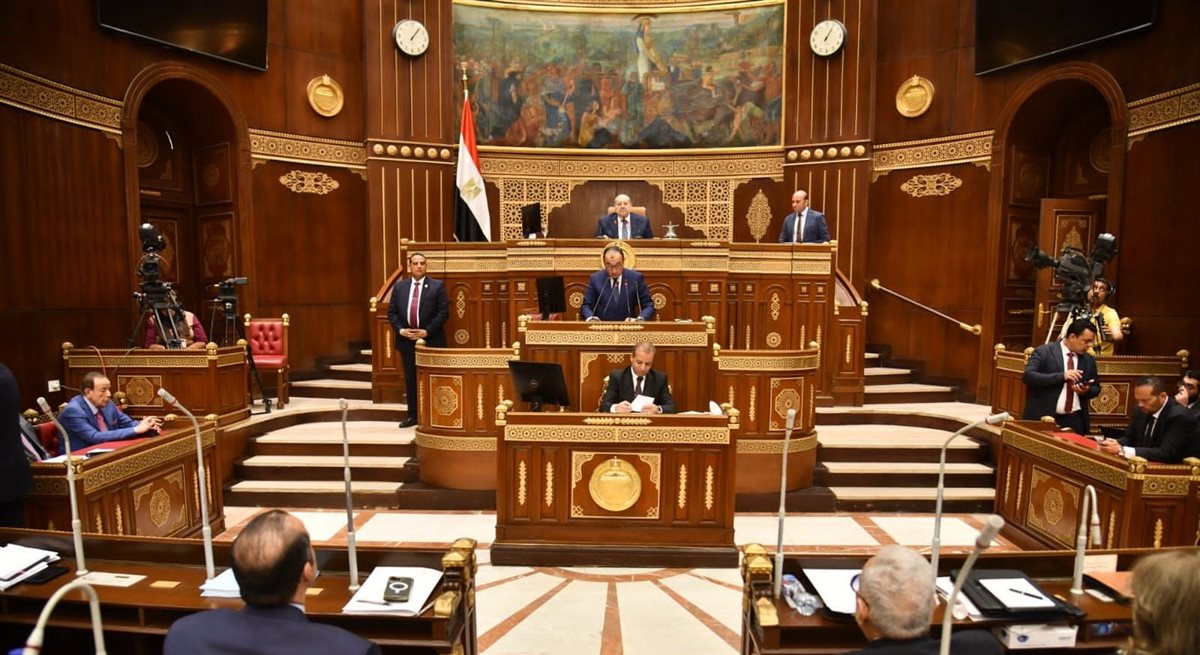 مجلس الشيوخ يناقش طلبات عامة حول إعادة هيكلة شركات قطاع الأعمال، وتحسين إدارة الأصول، وتوطين التكنولوجيا الصناعية