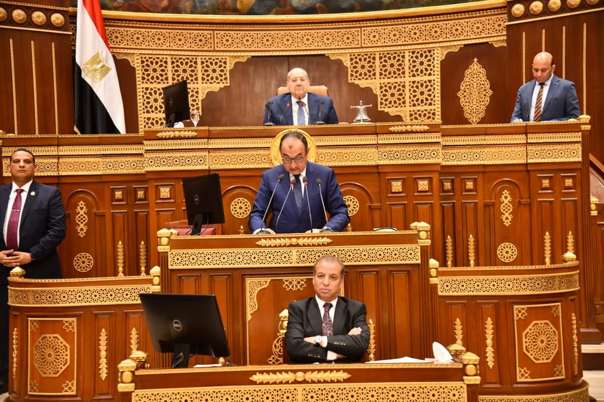وزير قطاع الأعمال يستعرض أمام مجلس الشيوخ استراتيجية تطوير الشركات التابعة وتعزيز التنافسية والاستدامة