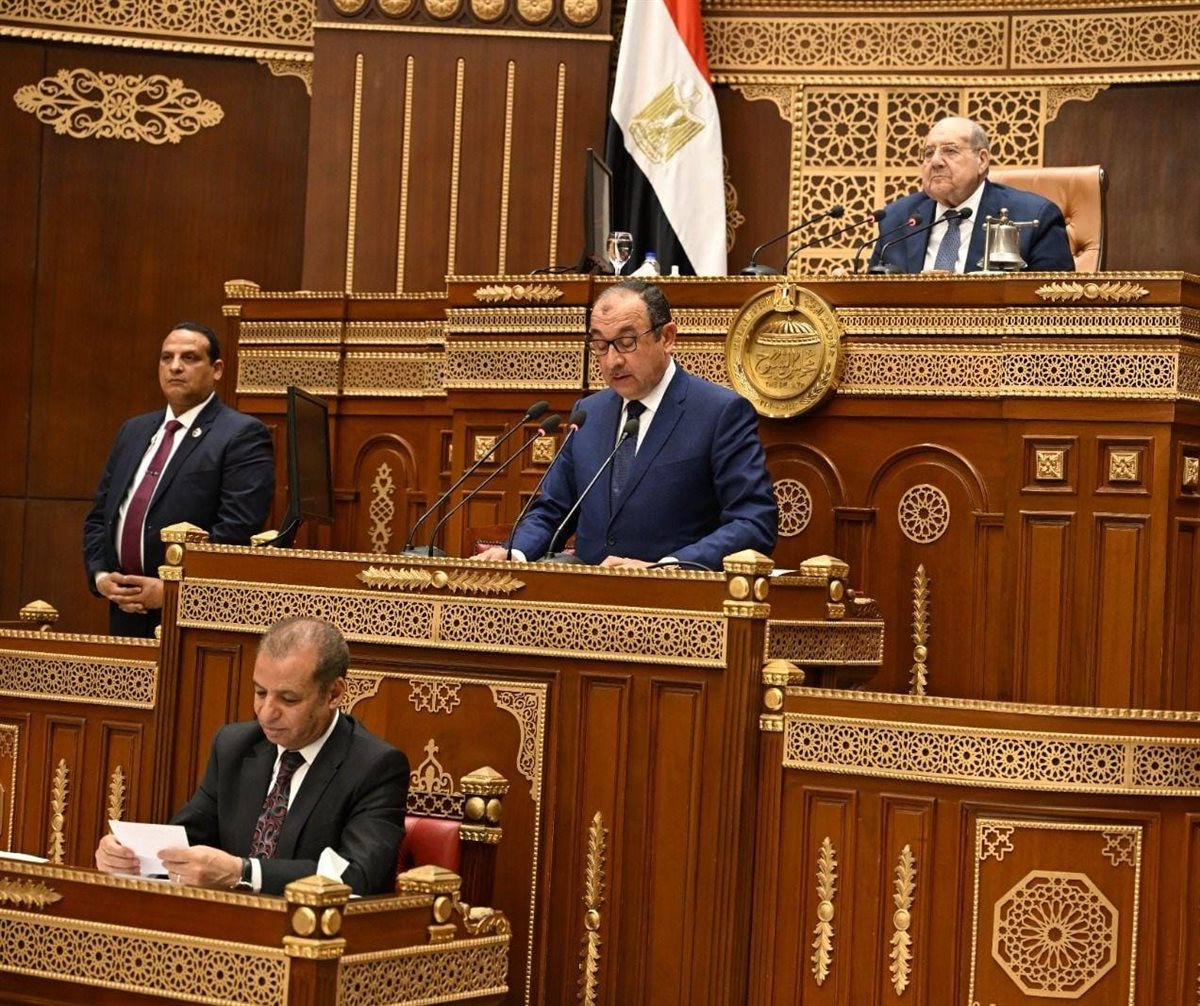 وزير قطاع الأعمال يستعرض أمام مجلس الشيوخ استراتيجية تطوير الشركات التابعة وتعزيز التنافسية والاستدامة