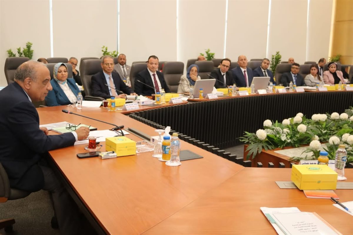 فصل الشركة المصرية لنقل الكهرباء عن القابضة خطوة لتحرير سوق الكهرباء