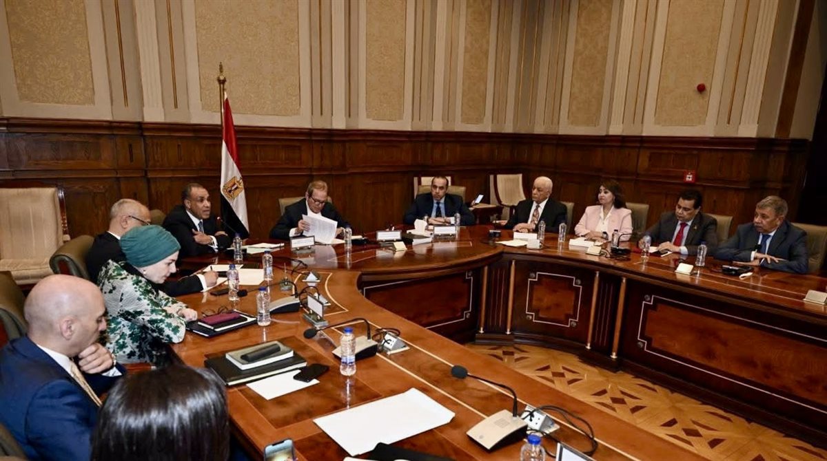 اجتماع وزيرا الخارجية والشئون النيابية داخل مجلس الشيوخ