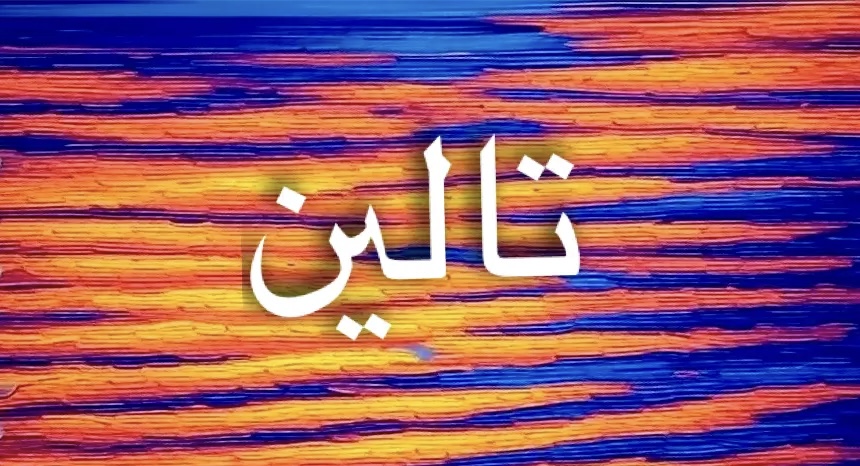 معنى اسم تالين
