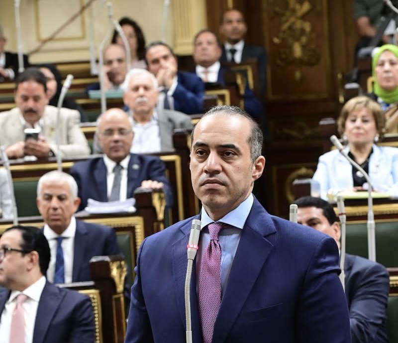 المستشار محمود فوزي، وزير الشئون النيابية