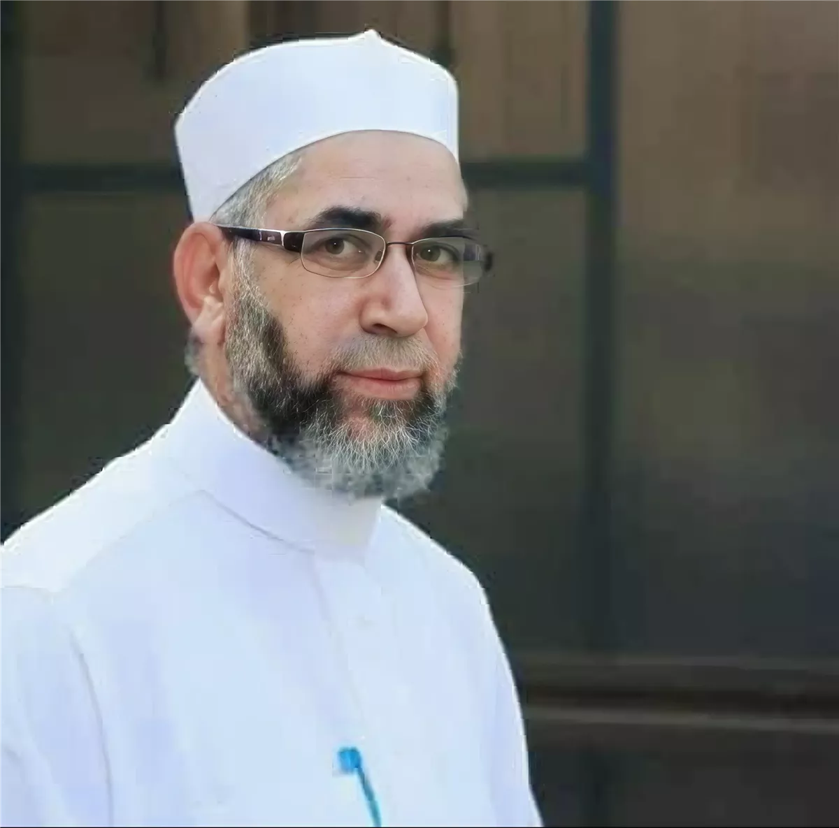 الدكتور محمد حمودة