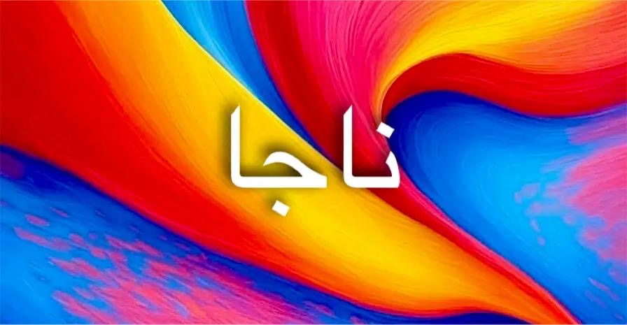 طاقة اسم ناجا