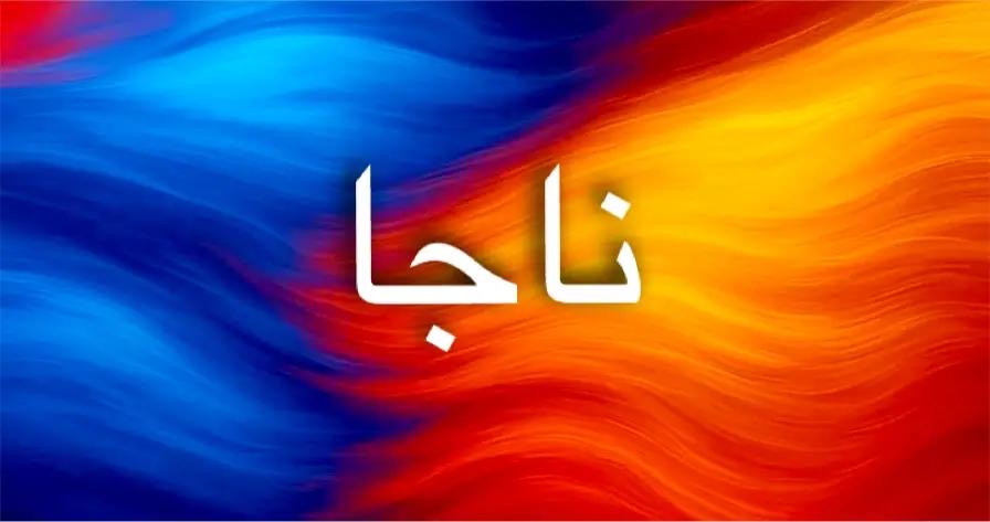 معنى اسم ناجا في اللغة السنسكريتية