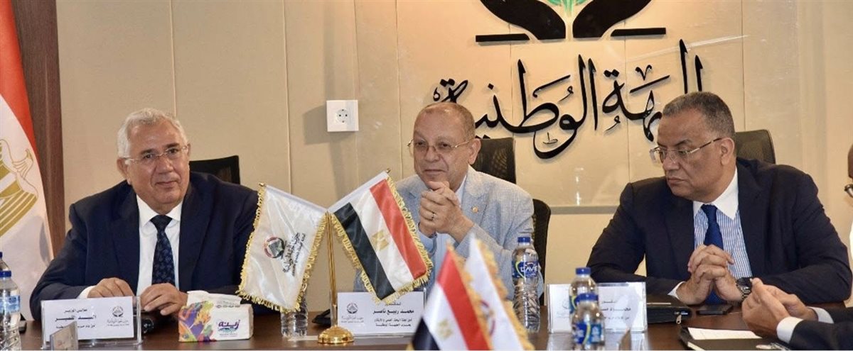 د.محمد ربيع يشرح خطة دعم الباحثين الشباب