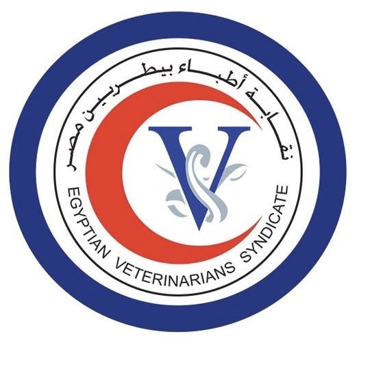 موافقة حكومية على تعيين الأطباء البيطريين بدلًا من الاستعانة