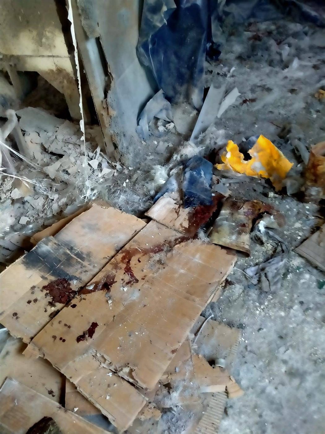 انفجار مصنع بالدقهلية يخلف ضحايا واستجابة فورية