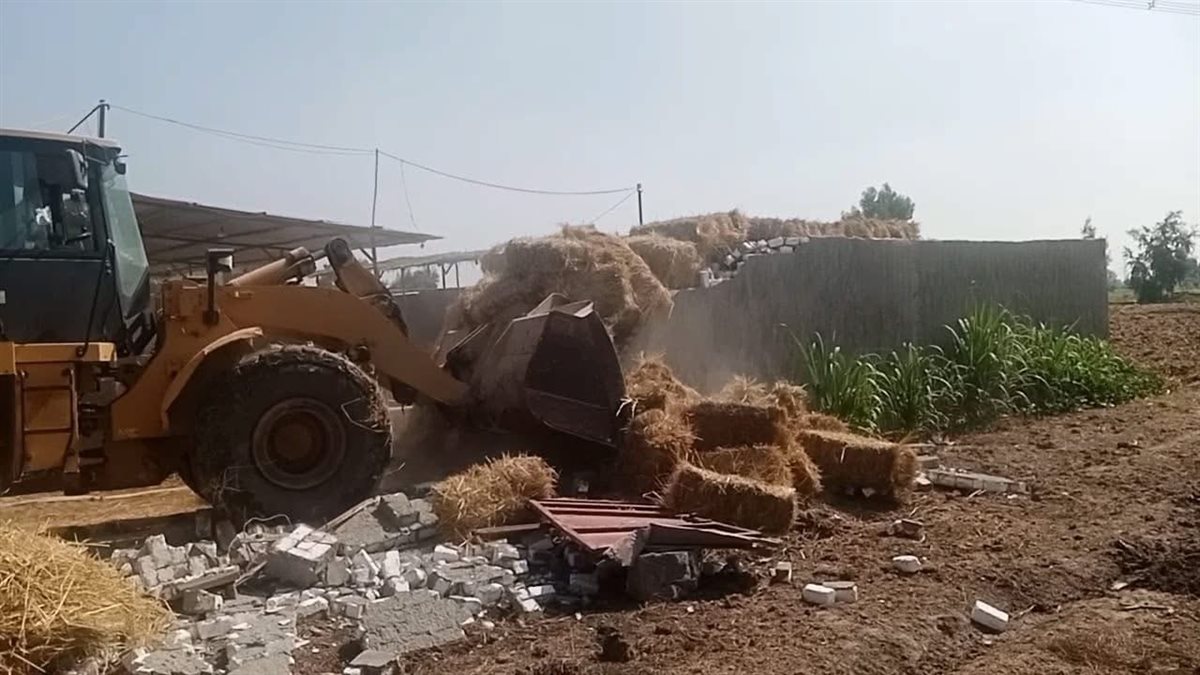 حملات مستمرة بكفرالشيخ لحماية أملاك الدولة والرقعة الخضراء