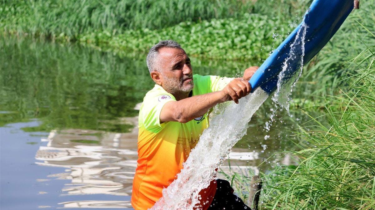 إطلاق زريعة بلطي في بحيرة الصيادين لدعم الثروة السمكية