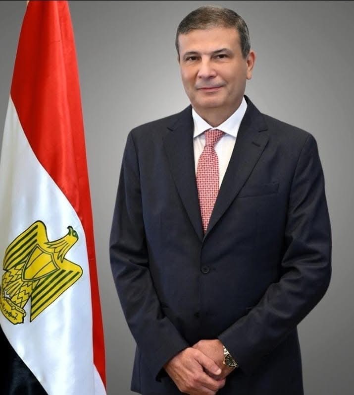 فتح سوق بيرو أمام صادرات مصر من شتلات الفراولة