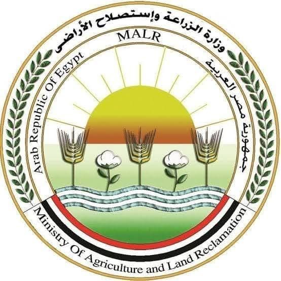 وزارة الزراعة تنفي شائعات استيراد مصر للتمور الإسرائيلية