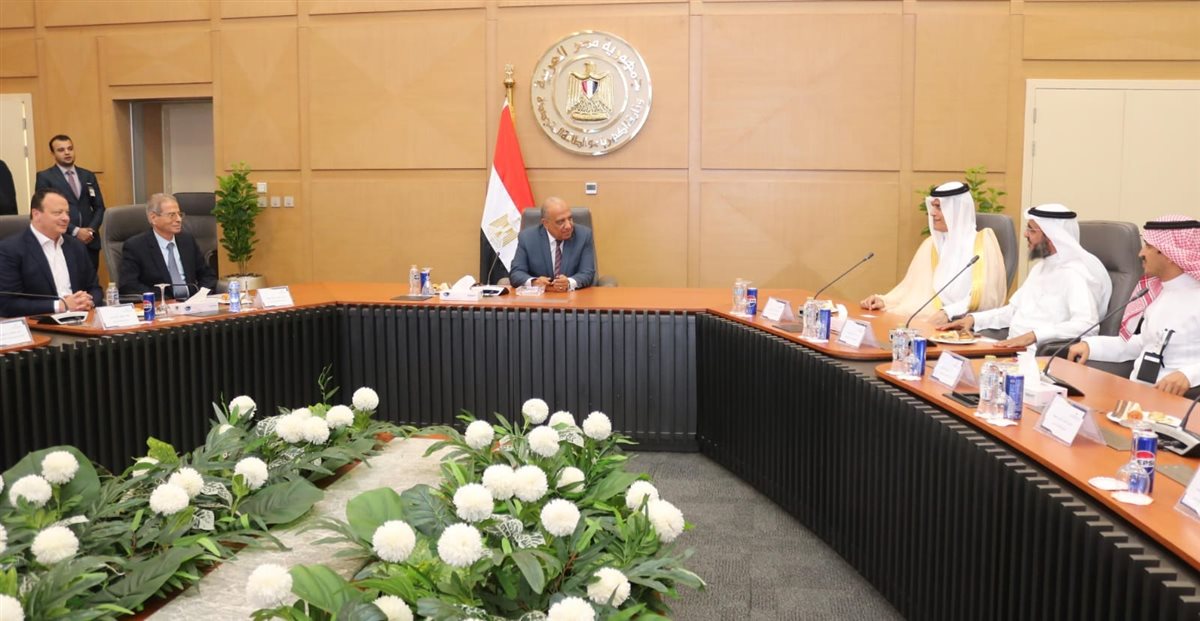 تعاون جديد بين مصر والسعودية لتعزيز مستقبل الكهرباء الذكية
